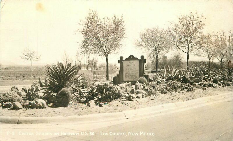 Cactus Garden Highway US 80 Las Cruces New Mexico 1946 RPPC Photo Postcard 6590