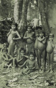 brazil, Indios Botucudos Aimoré Indians, Grupo de Crianças (1910s) Postcard