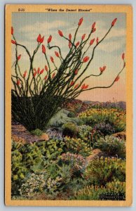 1953  Prescott  Arizona  Cancel   When the Desert Blooms Postcard