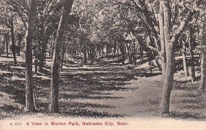 Postcard View Morton Park Nebraska City NB