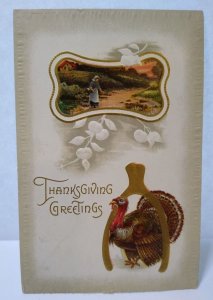 Thanksgiving Postcard Turkey Scenic Farm Meeker Embossed Vintage