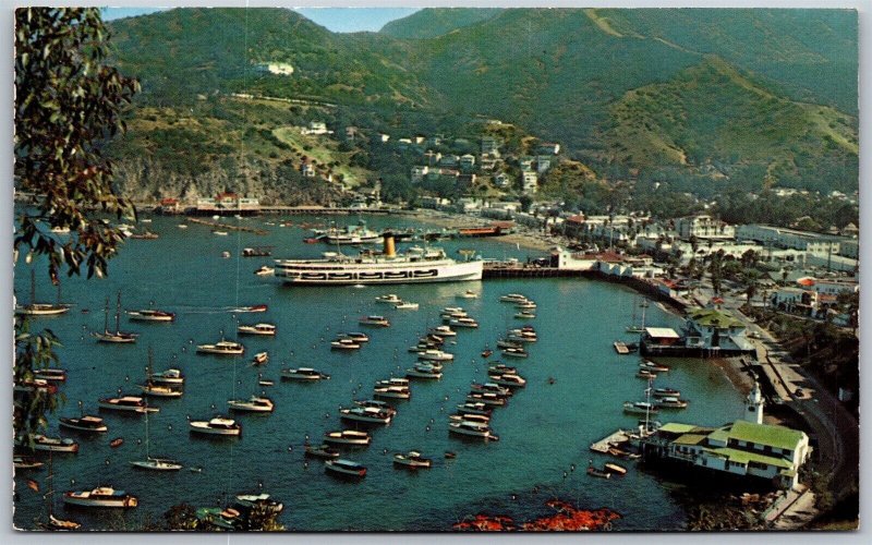 Vtg Santa Catalina Island California Boats Ships On The Bay At Avalon Postcard