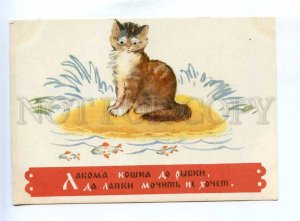 200931 RUSSIA Cat & fish by Dudnikov old postcard