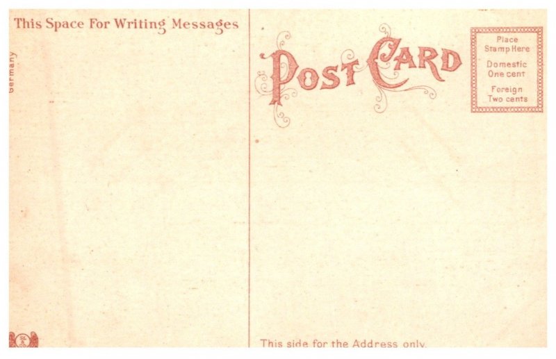 Rhode Island Providence , Roger Williams Park, geese, Boating