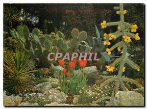 Postcard Modern Exotic Garden & Zoo Sanary Bandol Mexican Cacti