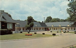 Bardstown Kentucky 1950-60s Postcard Wilson Motel