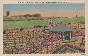 New York Syracuse E M Mills Municipal Rose Garden Thornden Park