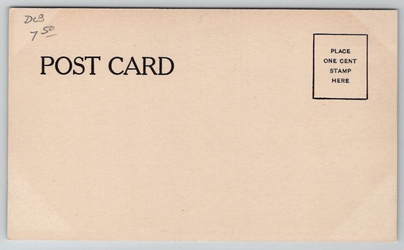 Fire Station Woodstown New Jersey Borough Hall c1905 Postcard E25