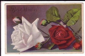 White Rose, Red Rose, Best Wishes, Used in Canada