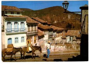 Largo do Rosario, Brazil, Donkeys