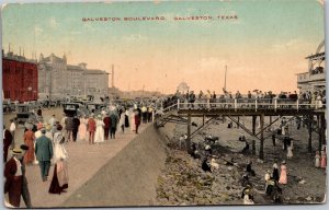 Postcard TX Galveston Boulevard  - sea wall pier