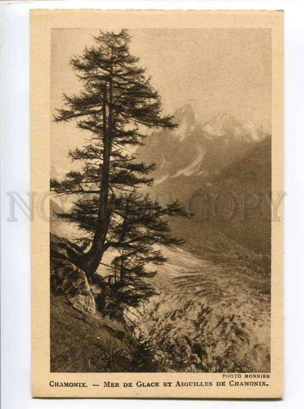 3044897 FRANCE CHAMONIX Big glacier Needles Vintage