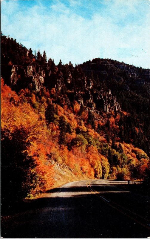 Autumn View Canyon Hwy Utah UT Postcard VTG UNP Dexter Vintage Unused Chrome 