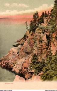 Maine Winona Cliff