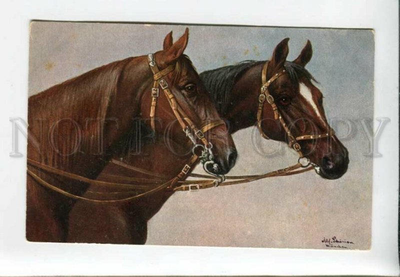 3160798 HORSES by SCHONIAN Vintage ADVERTISING TSN #588 PC