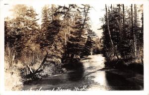 Kenai Alaska~Seward Creek-Creek Sevard (?)~Overhanging Pines~1940s RPPC Postcard