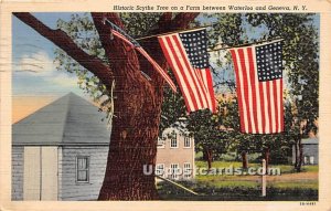 Historic Scythe Tree on a Farm - Geneva, New York NY Postcard