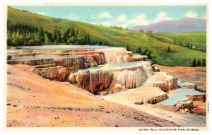 Wyoming Yellowstone Park  Mammoth Hot Springs Terraces