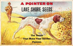 Dunkirk NY Lake Shore Seeds Pointer Dog Hunter 1921 Advertising Postcard