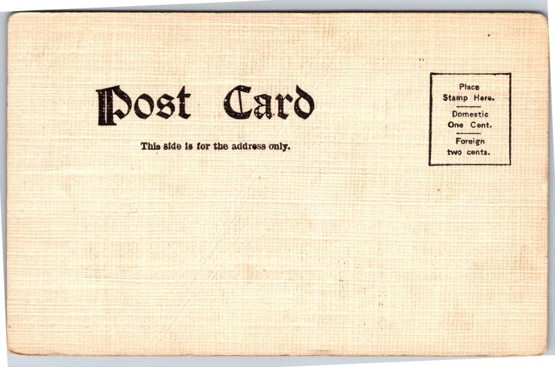 Postcard Josh Billings I Lub the Rooster for 2 things