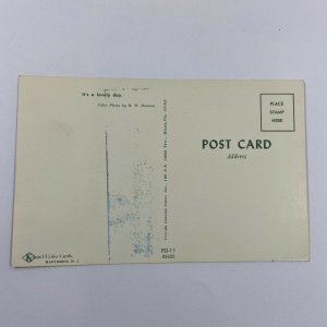 Women Bikini Beach Florida Coastline Beautiful Pinup Blonde Shoreline Postcard