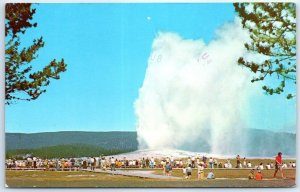 Postcard - Old Faithful Geyser, Yellowstone National Park - Wyoming