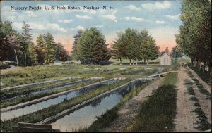 Nashua New Hampshire NH U.S. Fish Hatch Nursery Ponds c1910 Postcard