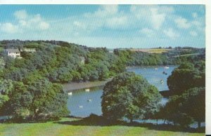 Cornwall Postcard - Helford River - Near Falmouth - Ref TZ2481