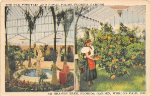 Pan Fountainand Royal Palms, Florida Garden, Orange Tree FL USA Fruit Assorte...