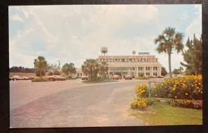 Mint USA Color picture Postcard PPC Magnolia Plantation Tifton Georgia