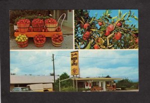 AR Banta House of Apple Stand Green Forest Arkansas Ralph Freeda Don Postcard