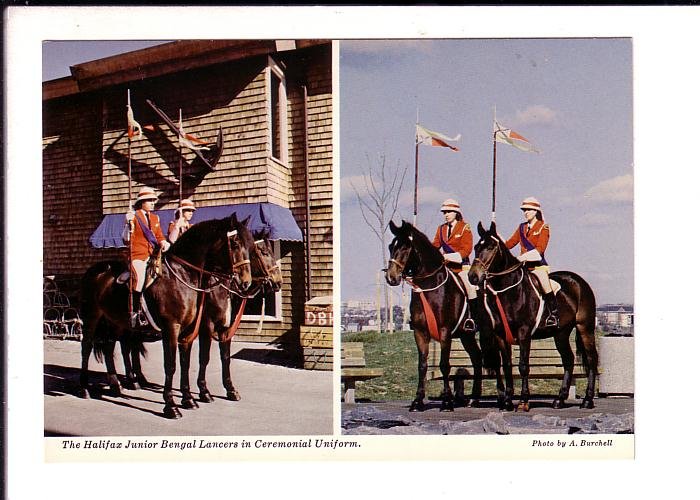 Bengal Junior Lancers, Halifax, Nova Scotia Horseback Riding