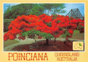 us7195 poinciana queensland australia