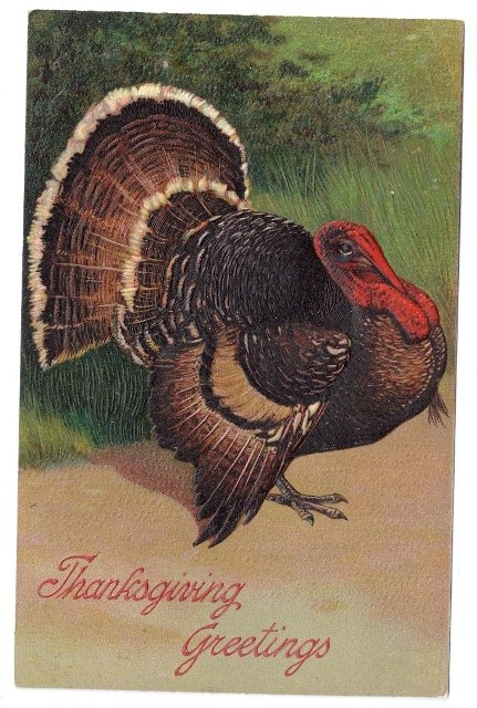 Thanksgiving Tom Turkey Vintage PFB Finkenrath 7721 Embossed German Postcard