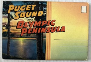 Puget Sound and the Olympic Peninsula 18 Postcard Souvenir Folder