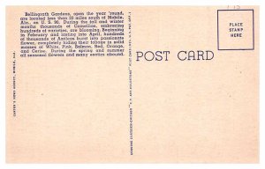 Postcard GARDEN SCENE Mobile Alabama AL AQ8052