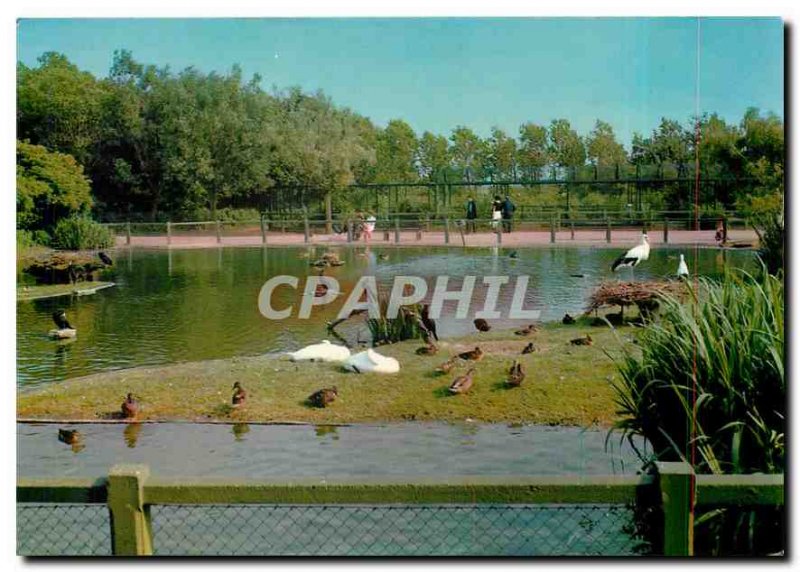 Postcard Modern Knokke - Heist The ornithological reserve Zwin