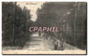 Old Postcard Love Cote La Baule In the firs