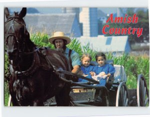 Postcard Amish Family riding in an Amish Courting, Amish Country, Pennsylvania