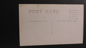 Mint Postcard Horse Wagon Wheels RPPC