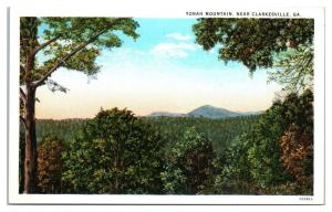 Early 1900s Yonah Mountain, near Clarkesville, GA Postcard