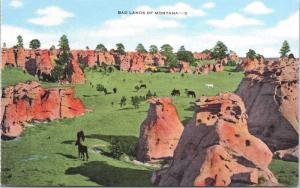 Bad Lands MT Montana Horses Unused Postcard D69