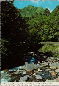 Along US 441 Skyway/Little Pigeon River Great Smoky Mtns Ntl Park Postcard PC396