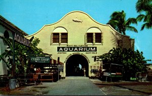 Florida Key West The Aquarium 1957