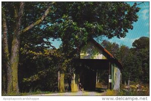 Cox Covered Bridge Over Brushy Fork Creola Ohio