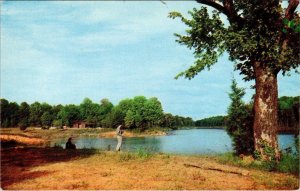 Lucy, TN Tennessee  SHELBY FOREST STATE PARK Couple Fishing On Lake  Postcard