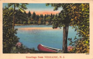 Neshanic New Jersey Greetings Canoeing Scene Vintage Postcard AA62121