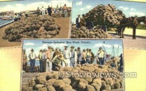 Sponge Industry - Key West, Florida FL  