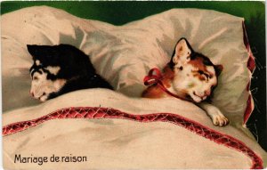 PC CATS, MARIAGE DE RAISON, Vintage EMBOSSED Postcard (b46561)