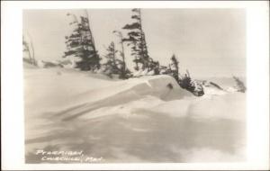 Churchill Manitoba Ptarmigan Real Photo Postcard